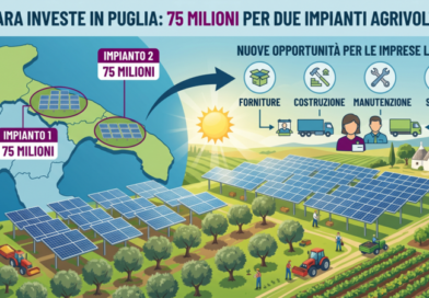 Primo Contractor Open Day in Puglia per Nadara destinato ad aziende foggiane e pugliesi per investimento da 75 mln totali in agrivoltaico